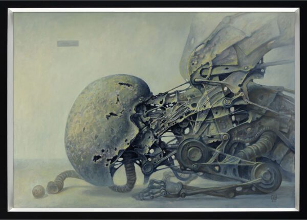 Dariusz Zawadzki - 30022