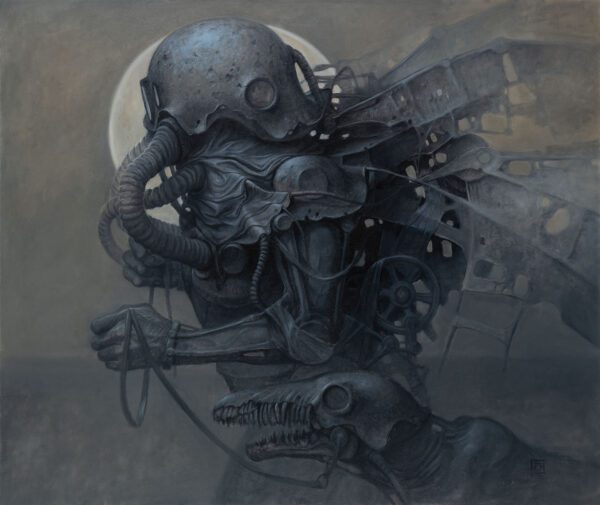 Dariusz Zawadzki - Strefa