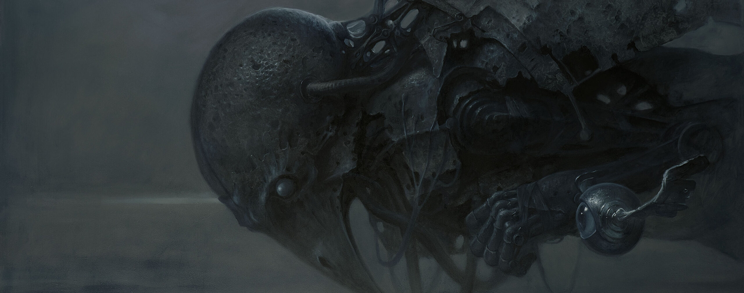 Dariusz Zawadzki - Free Flight