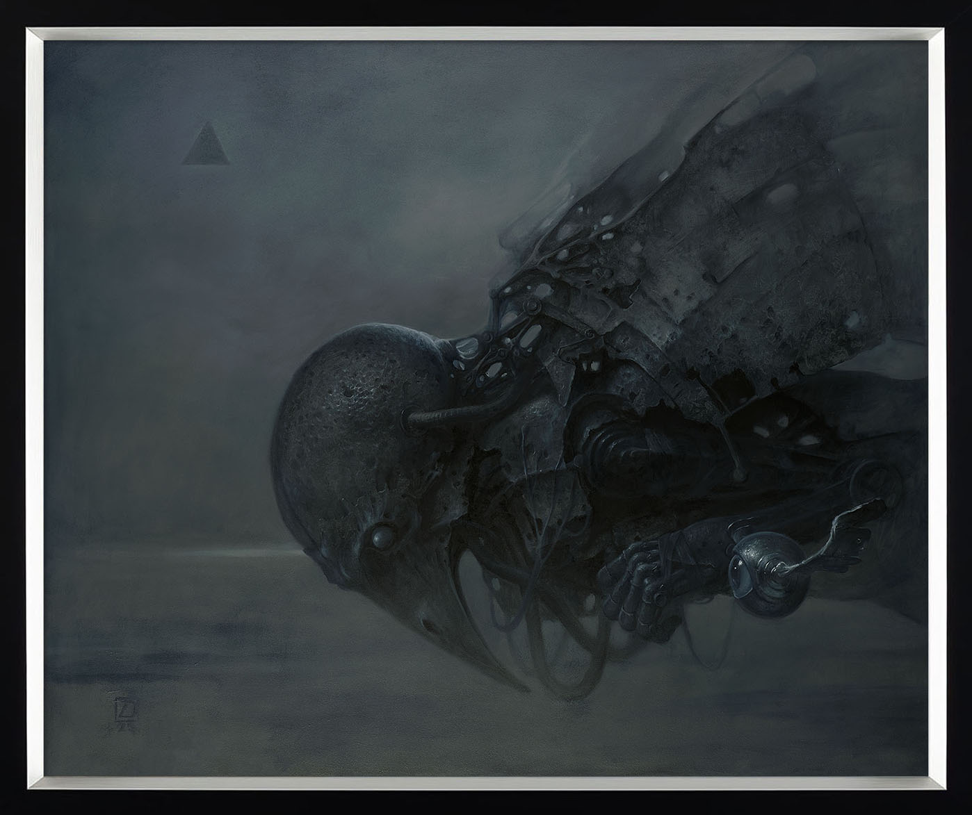 Dariusz Zawadzki - Free Flight